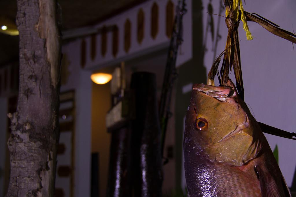 Alvi Star Inn Thulhaadhoo Bagian luar foto
