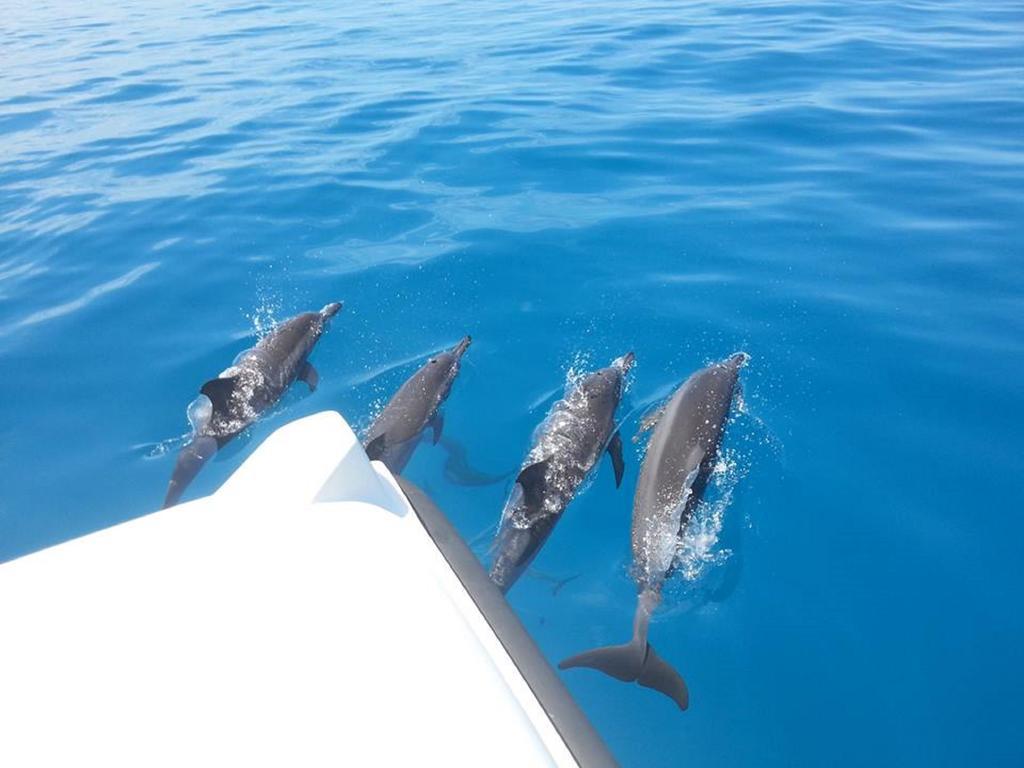 Alvi Star Inn Thulhaadhoo Bagian luar foto