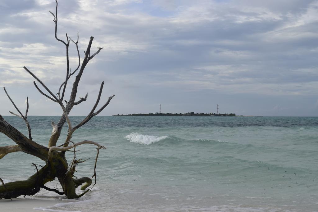 Alvi Star Inn Thulhaadhoo Bagian luar foto